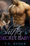 [Shades of Shifters 03] • The Shifter’s Secret Baby